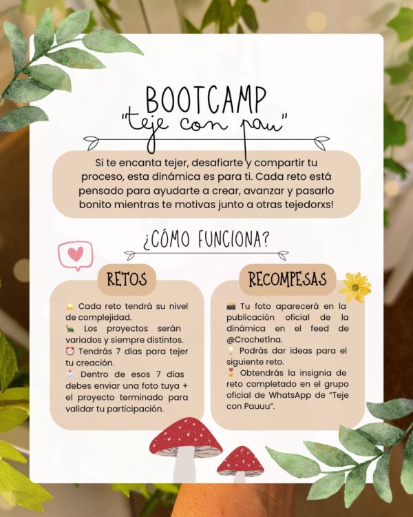 Lowdi • BootCamp 🐻🩵 - Imagen 2