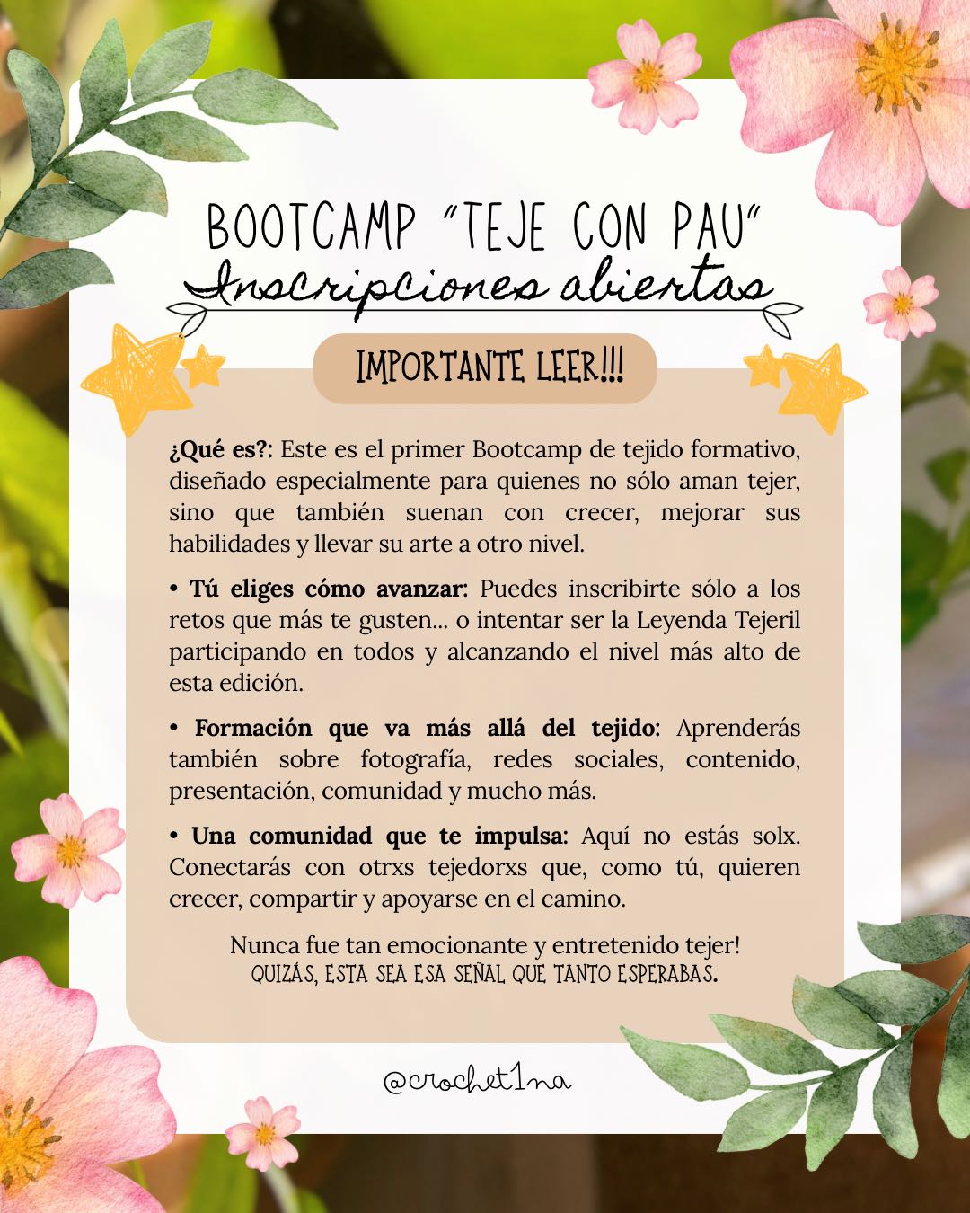 Lilo • BootCamp 🌸✨ - Imagen 2