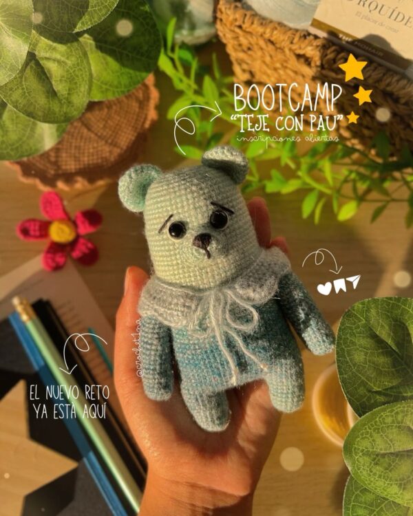 Lowdi • BootCamp 🐻🩵