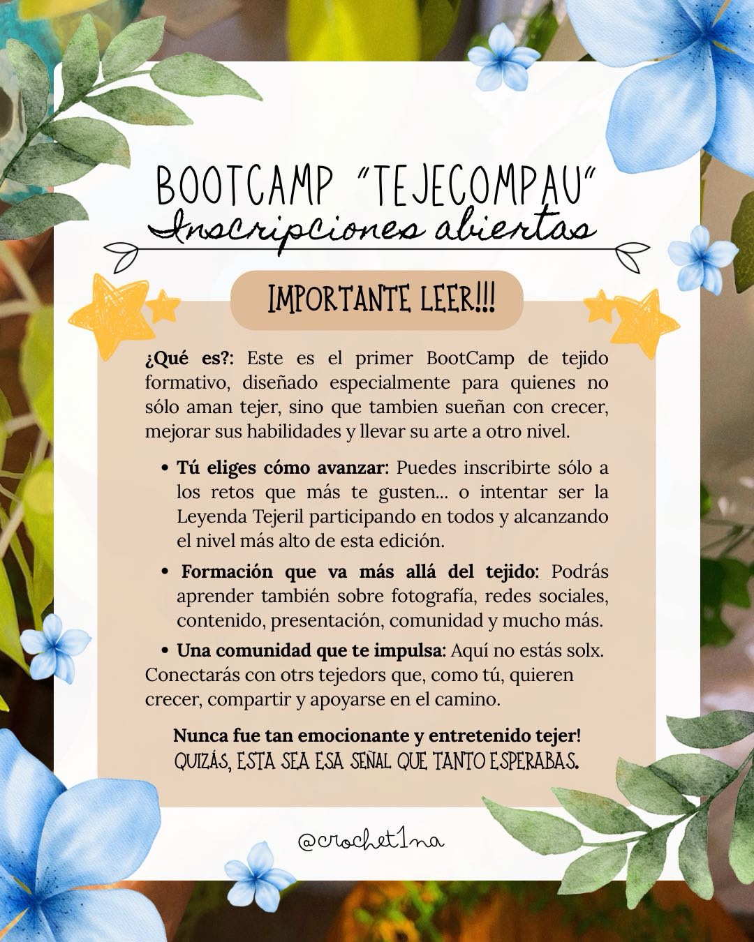 Stitch • BootCamp 🩵🌿 - Imagen 2
