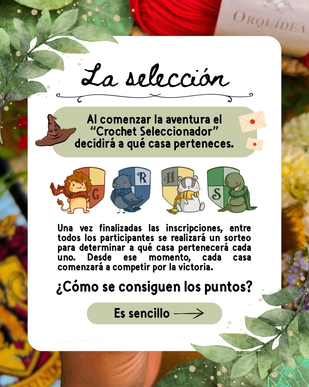 Harry • Hogwarts Desafío #1 - Imagen 3