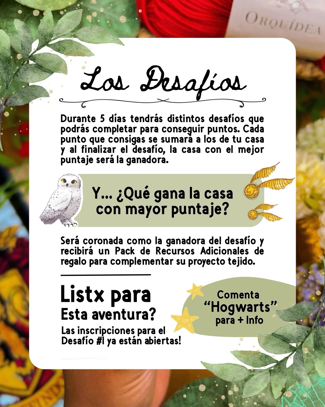 Harry • Hogwarts Desafío #1 - Imagen 4